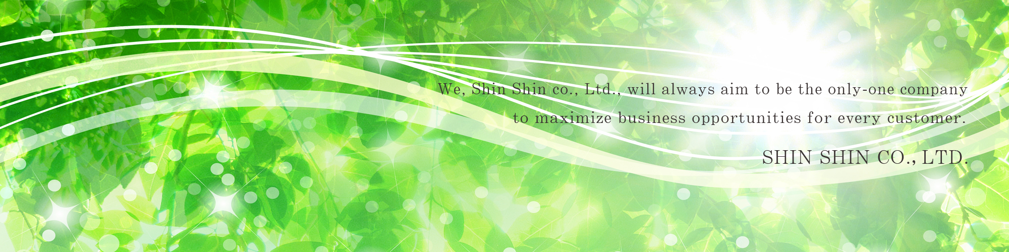 SHINSHIN CO.,LTD.